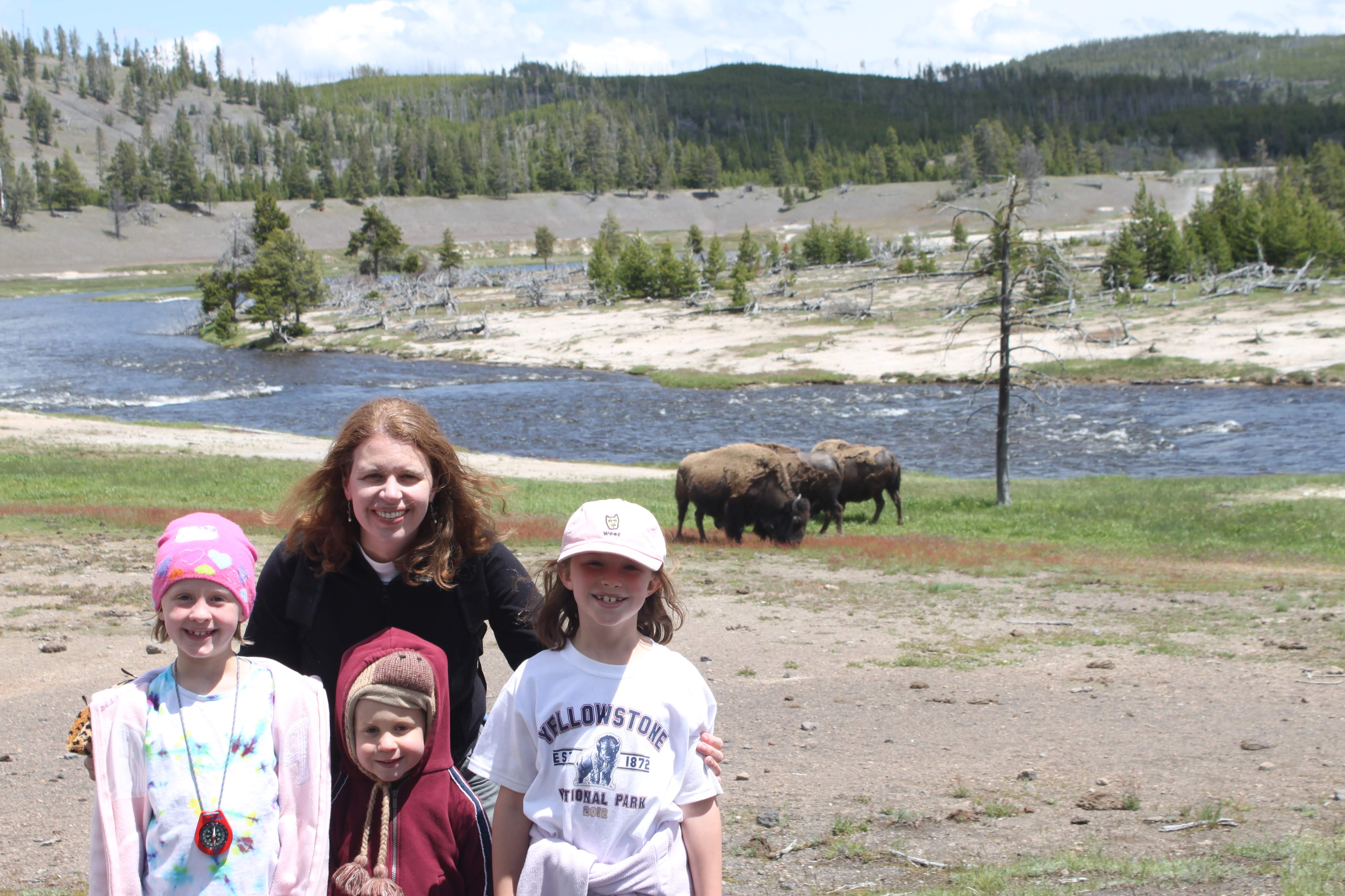 People in front of a river and bison